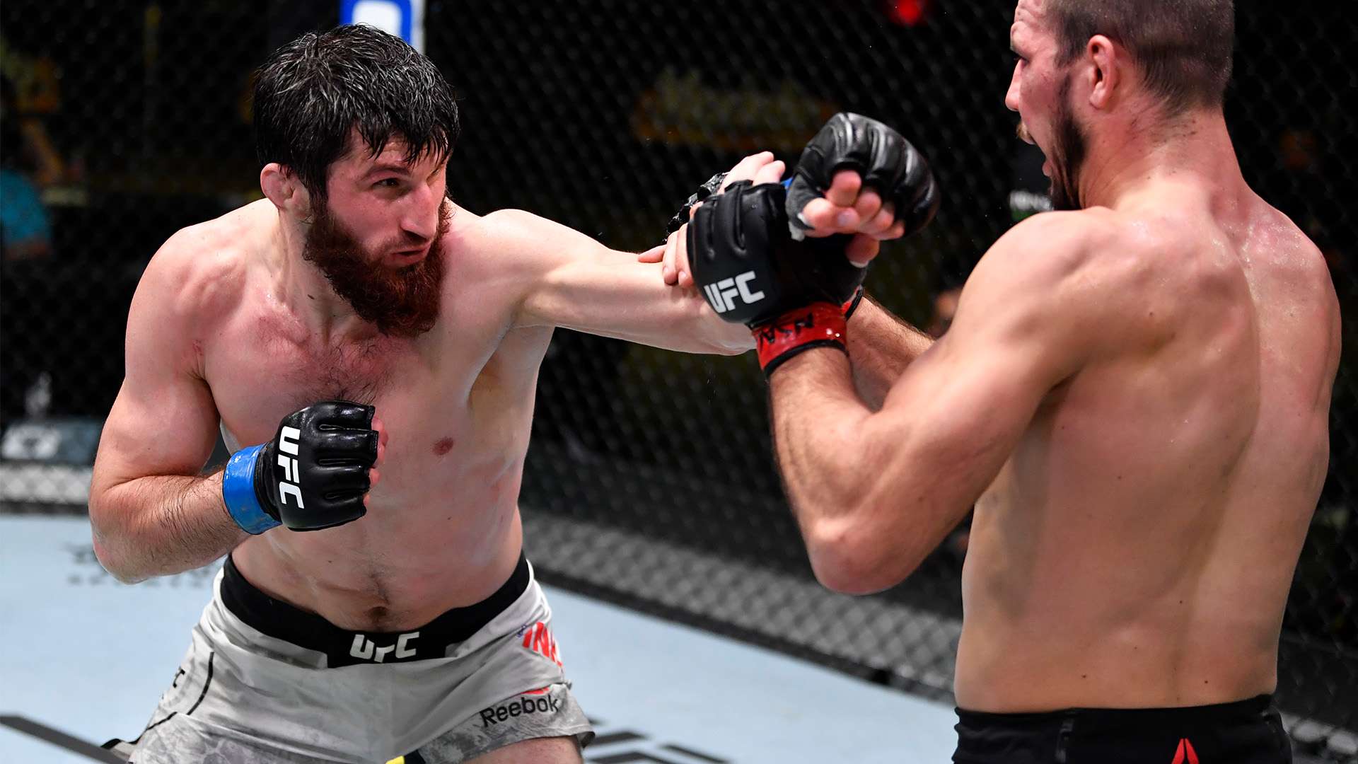 对阵马德里 对阵马德里